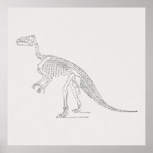 Dinosaur Skeleton Art ポスター