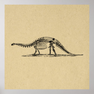 Dinosaur Skeleton Vintage Art ポスター