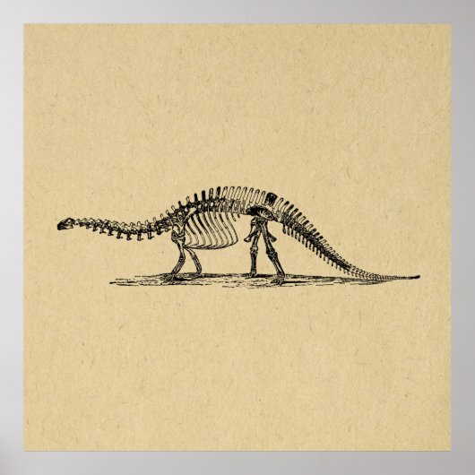 Dinosaur Skeleton Vintage Art ポスター (正面)