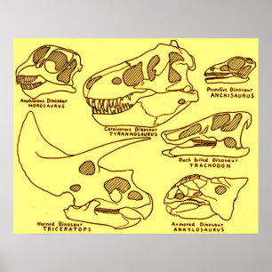 Dinosaur Skulls ポスター
