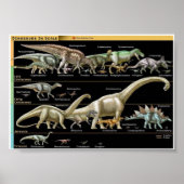 Dinosaur Timeline Biology ポスター (正面)