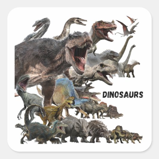 Dinosaurs スクエアシール (正面)