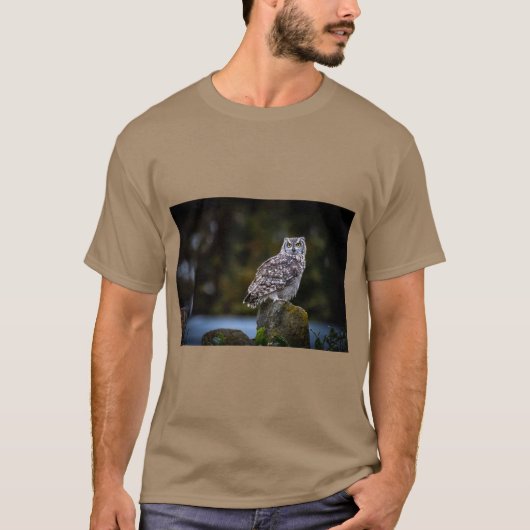 Dinydekort アーティスティックチャームTシャツ Tシャツ (正面)