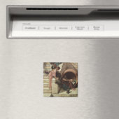 Diogenes by John William Waterhouse マグネット (インサイチュ (食洗機))