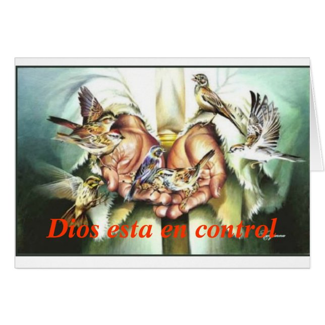 Diosのesta en制御 (正面横)