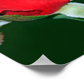 Dios es amor （カルテル・デ1フアン4:8） ポスター (角)