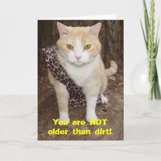 Dirt BDカードより古いニース カード (正面)