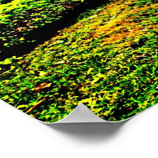 Dis Nデータ ポスター (角)