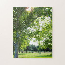 Disc Golf Puzzle ジグソーパズル