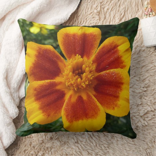 Disco Marigoldオレンジと赤い夏の花 クッション (ブランケット)