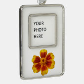 Disco Marigoldオレンジと赤い夏の花 シルバープレートフレームオーナメント (右)