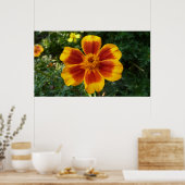 Disco Marigoldオレンジと赤い夏の花 ポスター (キッチン)