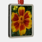 Disco Marigoldオレンジと赤い夏の花 メタルオーナメント (右)