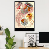 Discomedusae – Plate 8 - Kunstformen der Natur ポスター (ホームオフィス)