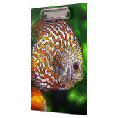 Discus_20170601_by_JAMColors クリップボード (左)