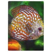 Discus_20170601_by_JAMColors クリップボード (裏面)