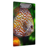 Discus_20170601_by_JAMColors クリップボード (右)