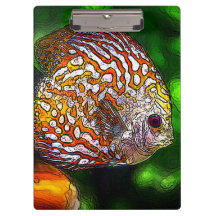 Discus_20170601_by_JAMColors