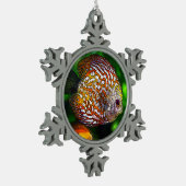 Discus_20170601_by_JAMColors スノーフレークピューターオーナメント (左)