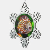 Discus_20170601_by_JAMColors スノーフレークピューターオーナメント (右)