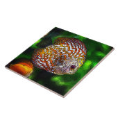 Discus_20170601_by_JAMColors タイル (側面)