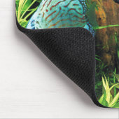 Discus Fish in aquatic plant aquqrium マウスパッド (コーナー)