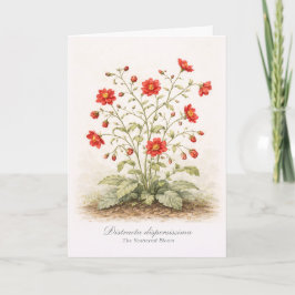 Distracta dispersissima - The Scattered Bloom カード