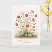 Distracta dispersissima - The Scattered Bloom カード (黄色い花)