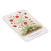 Distracta dispersissima - The Scattered Bloom マグネット (右側)