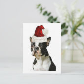 Ditzy Dogs～オリジナルはがき～ボストンテリア ポストカード (スタンド正面)