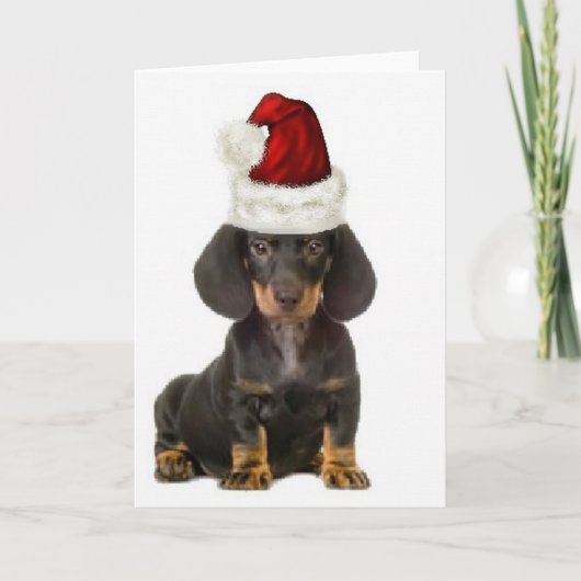 Ditzy Dogs~オリジナルNotecard~Dachshund カード (正面)