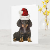 Ditzy Dogs~オリジナルNotecard~Dachshund カード (黄色い花)