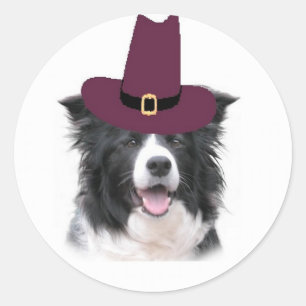 Ditzy Dogs~Collieステッ縁どク~感謝祭 ラウンドシール