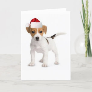 Ditzy Dogs~Original挨拶のCard~Jackラッセル シーズンカード