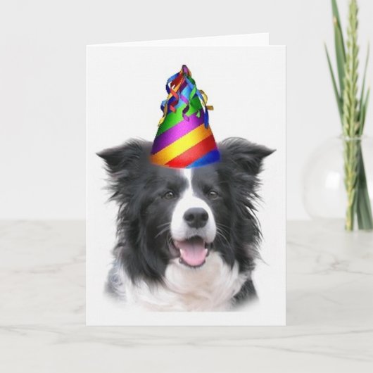 Ditzy Dogs~Original Notecard~Border Collie~B'day カード (正面)