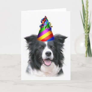 Ditzy Dogs~Original Notecard~Border Collie~B'day カード