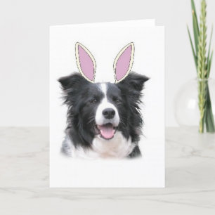 Ditzy Dogs~Original Notecard~Border Collie~Easter シーズンカード