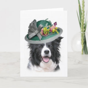 Ditzy Dogs~Original Notecard~Border Collie~Easter シーズンカード