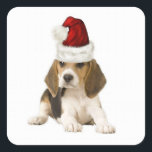 Ditzy Dogs~Original Sticker~Beagle~Christmas スクエアシール<br><div class="desc">Ditzy Dogs~Original Sticker~Beagle~Christmas</div>