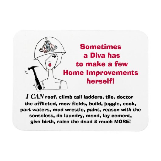 「Divaがホームの改善を自ら行う…」 磁石 (横)