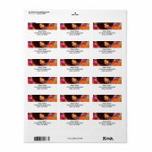 Divaイルミネーション： Diva風のデリライトラベル ラベル (フルシート)