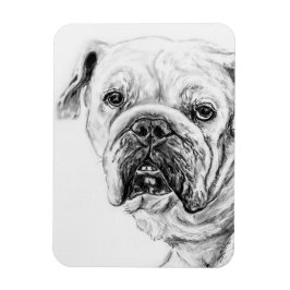 DIVAブロッサムフレキシブルマグネット マグネット