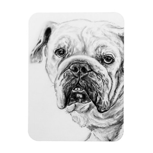 DIVAブロッサムフレキシブルマグネット マグネット (縦)