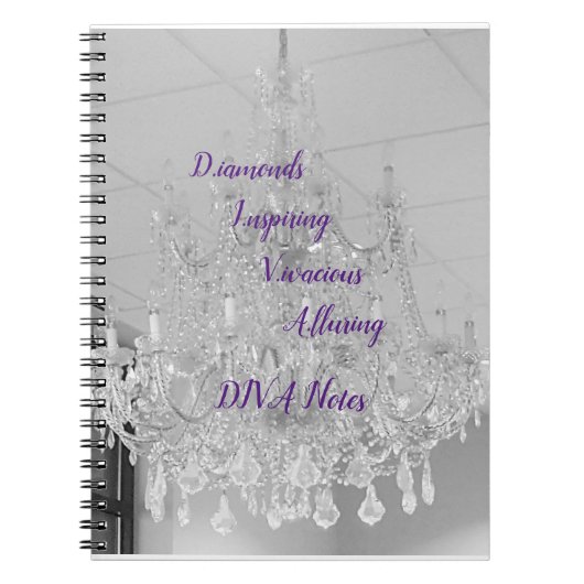 DIVAライフライトスパイラルノートブック ノートブック (正面)