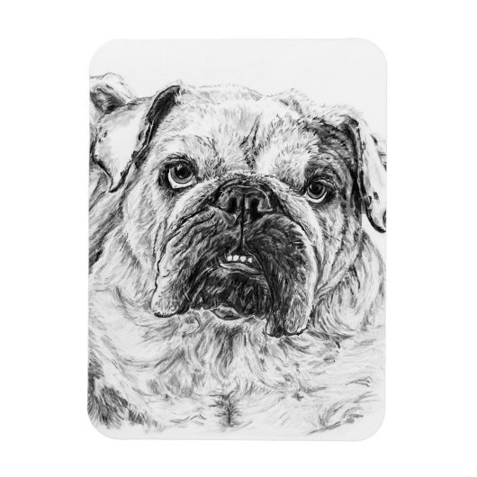 DIVAライリバグフレキシブルマグネット マグネット (縦)