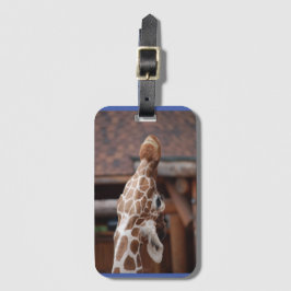 Divaラゲージタグ#1 ラゲッジタグ