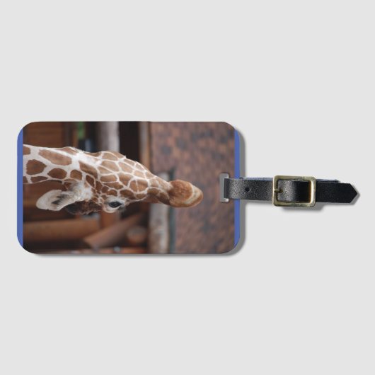 Divaラゲージタグ#1 ラゲッジタグ (正面横)