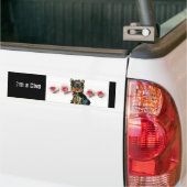 Diva Bumper Stecker(ディババンパーシール) バンパーステッカー (トラック上)