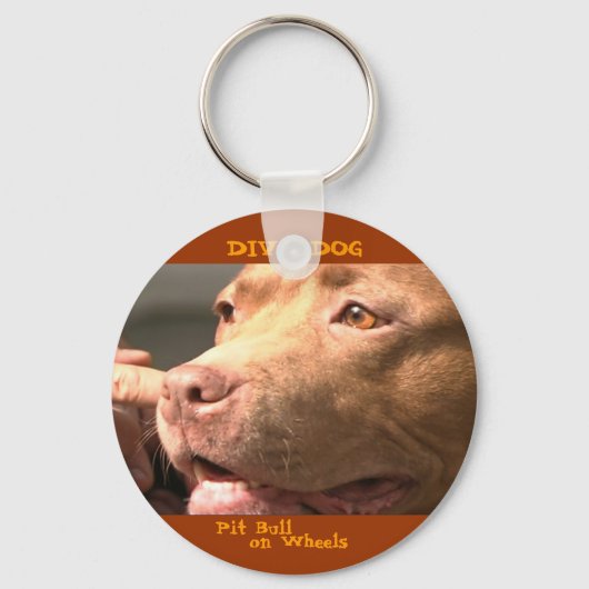 DIVA DOG Up閉じる&パーソナルキーチェーン キーホルダー (正面)