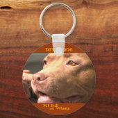 DIVA DOG Up閉じる&パーソナルキーチェーン キーホルダー (正面)